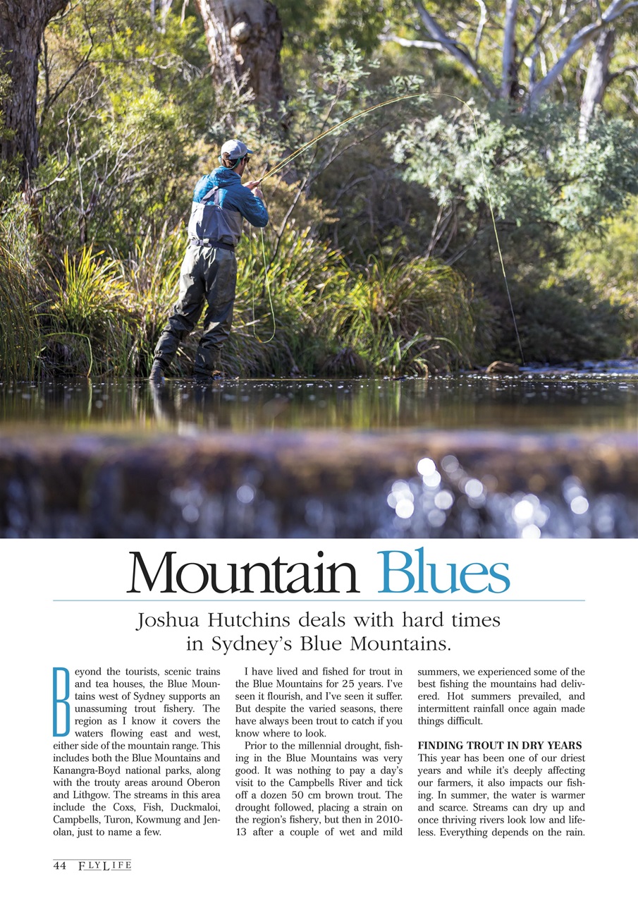 FlyLife Preview Pages