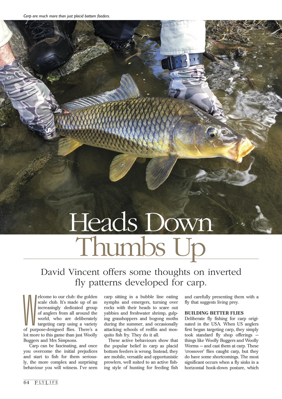 FlyLife Preview Pages