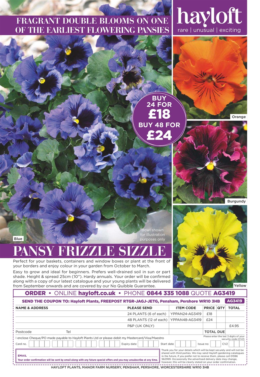 Amateur Gardening Preview Pages