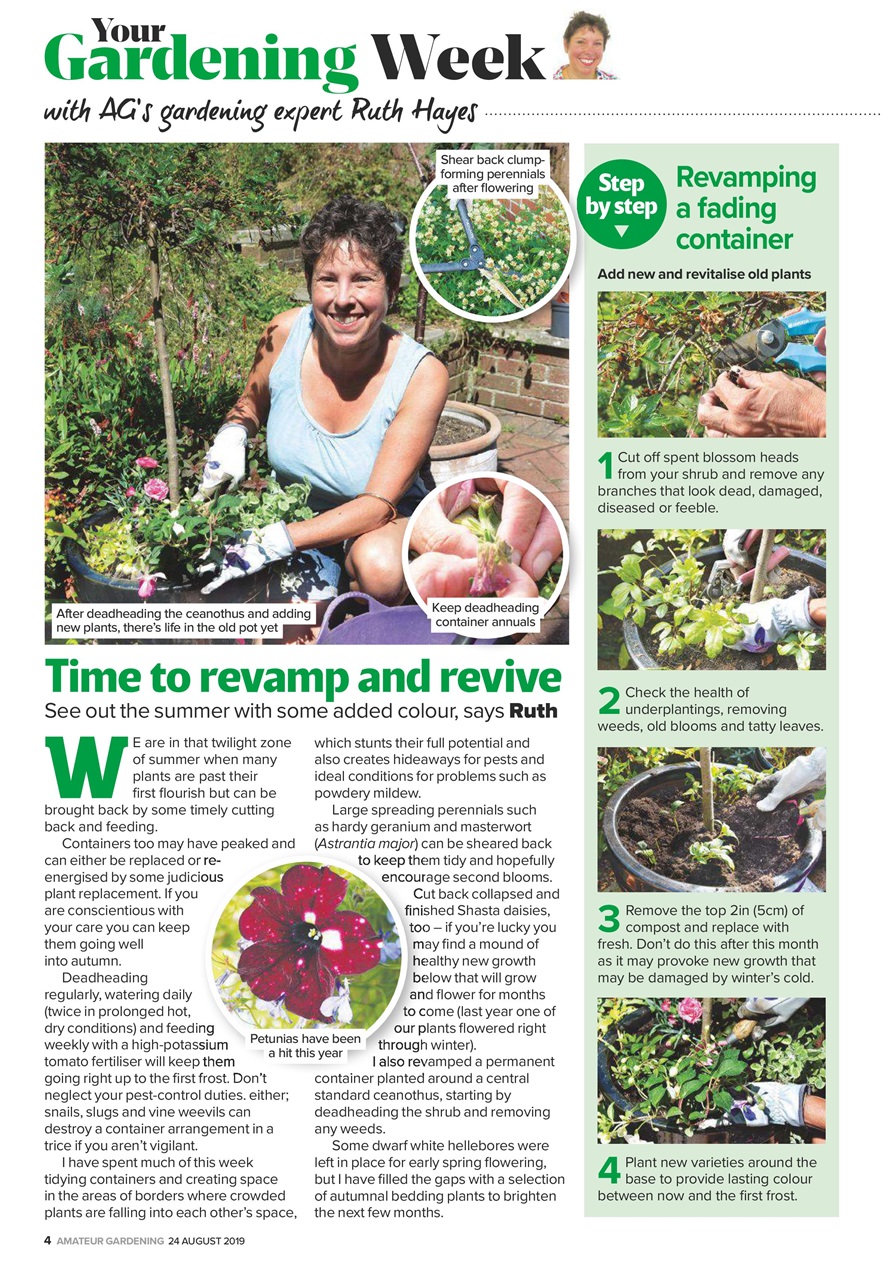 Amateur Gardening Preview Pages