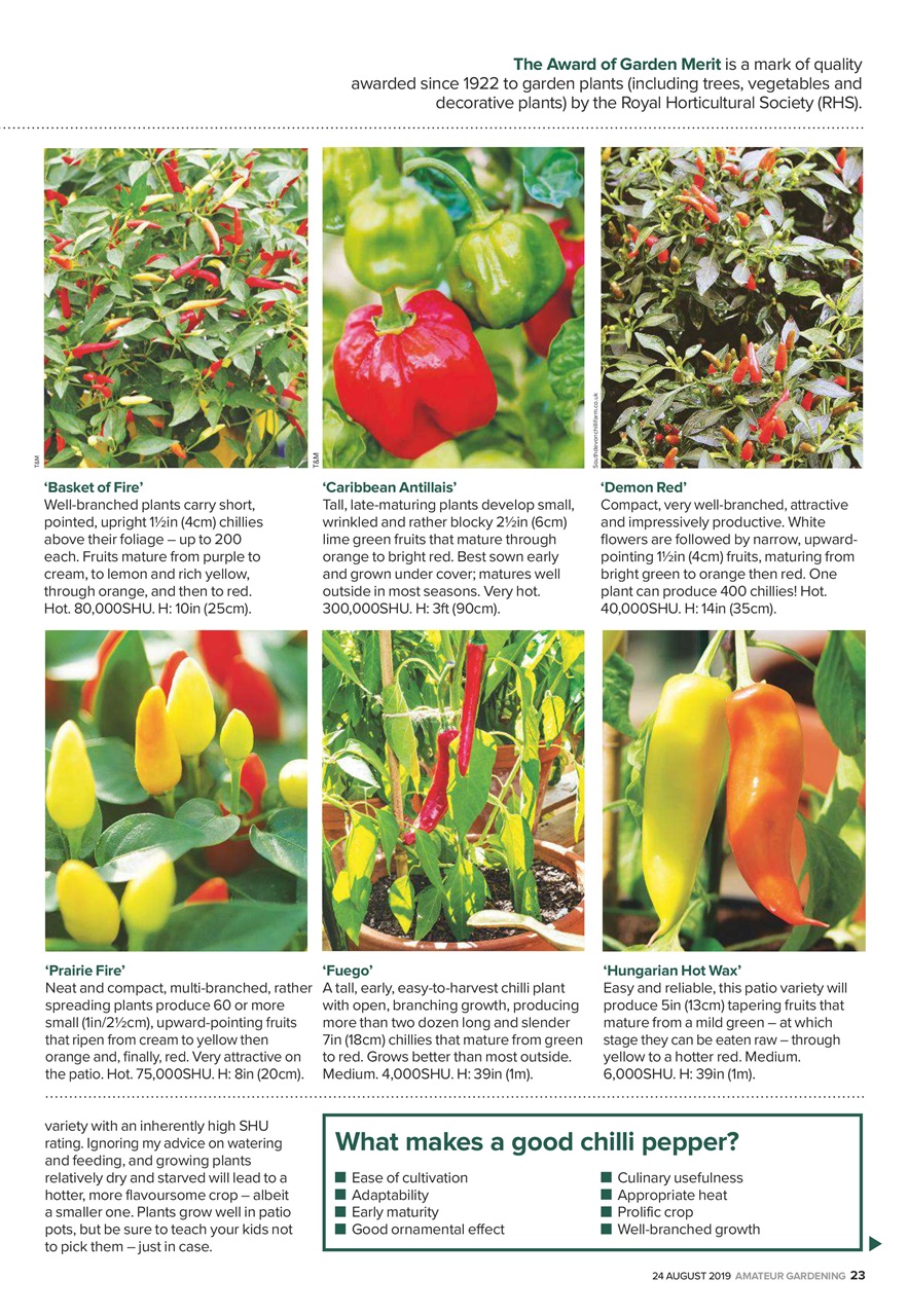 Amateur Gardening Preview Pages