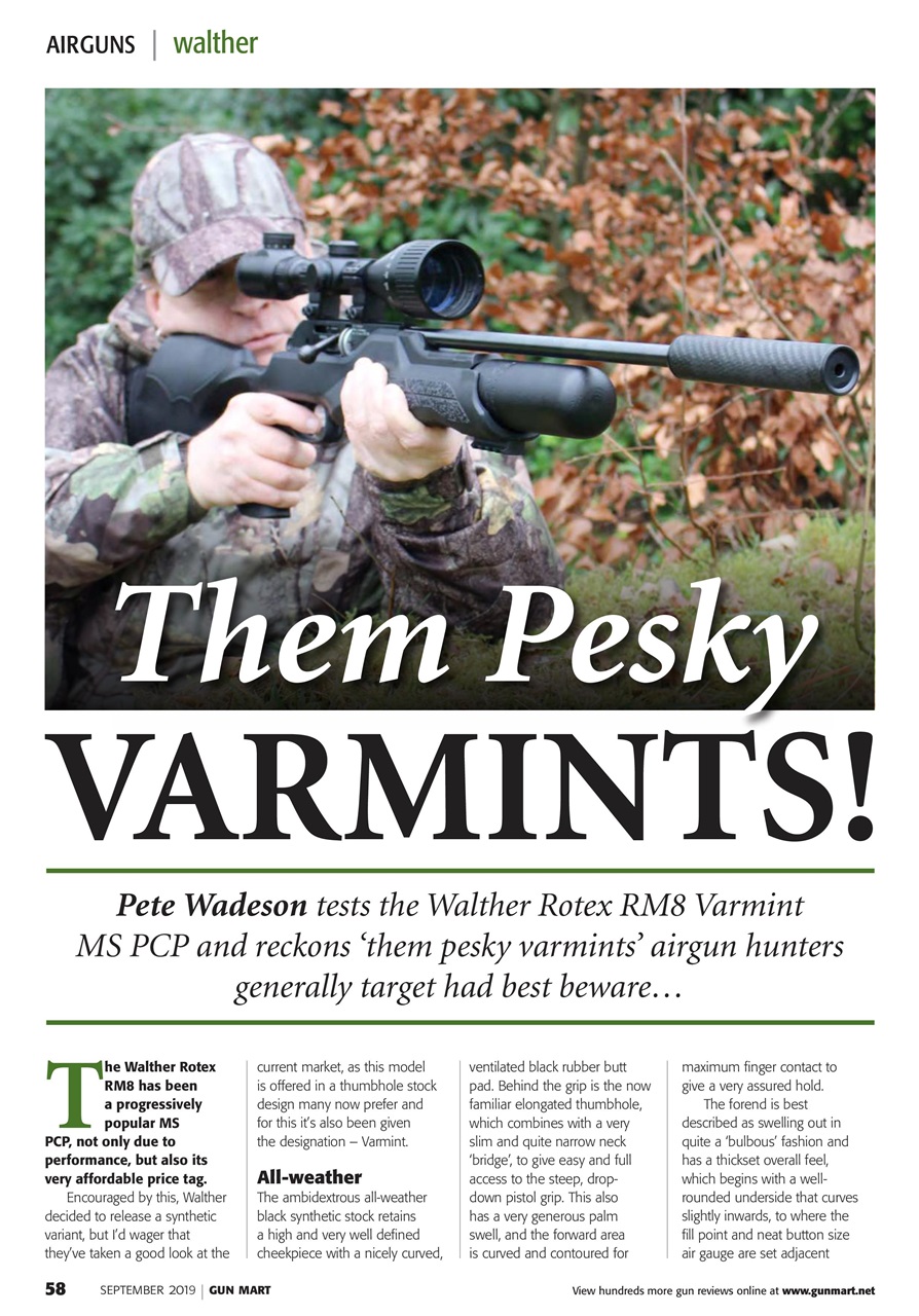 Gunmart Preview Pages