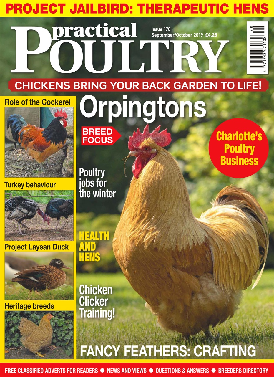 Practical Poultry Preview Pages