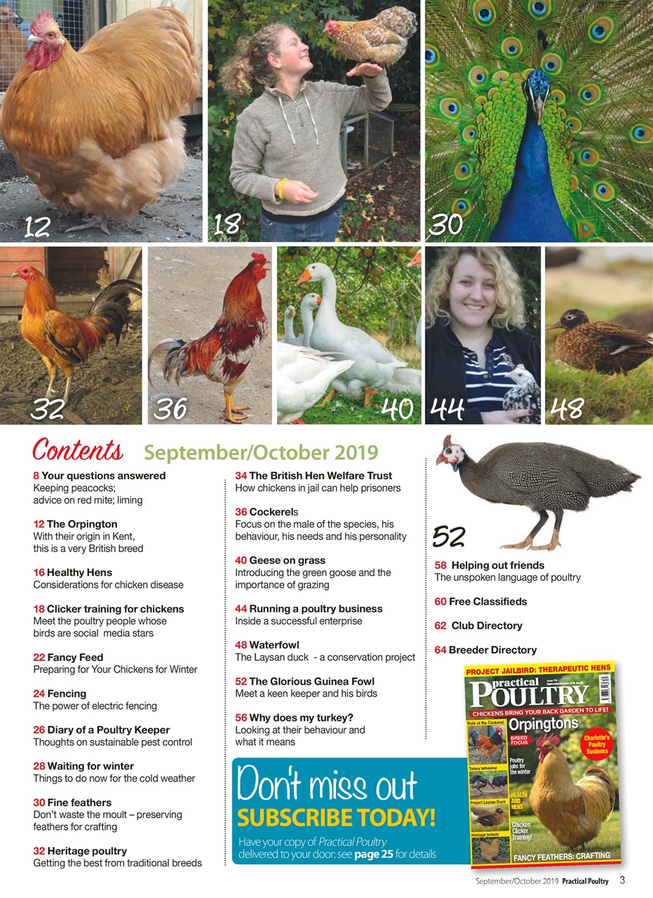 Practical Poultry Preview Pages