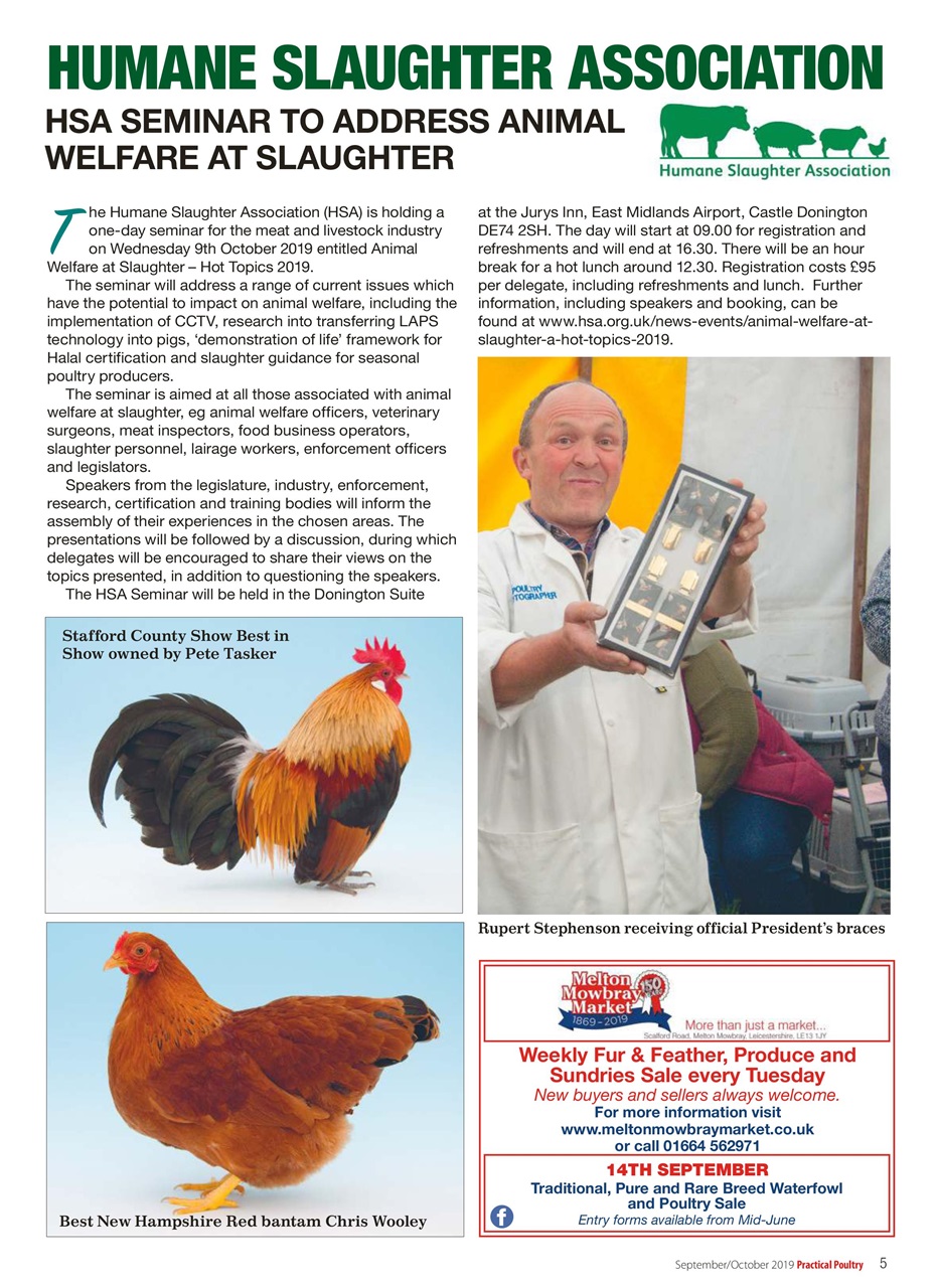 Practical Poultry Preview Pages