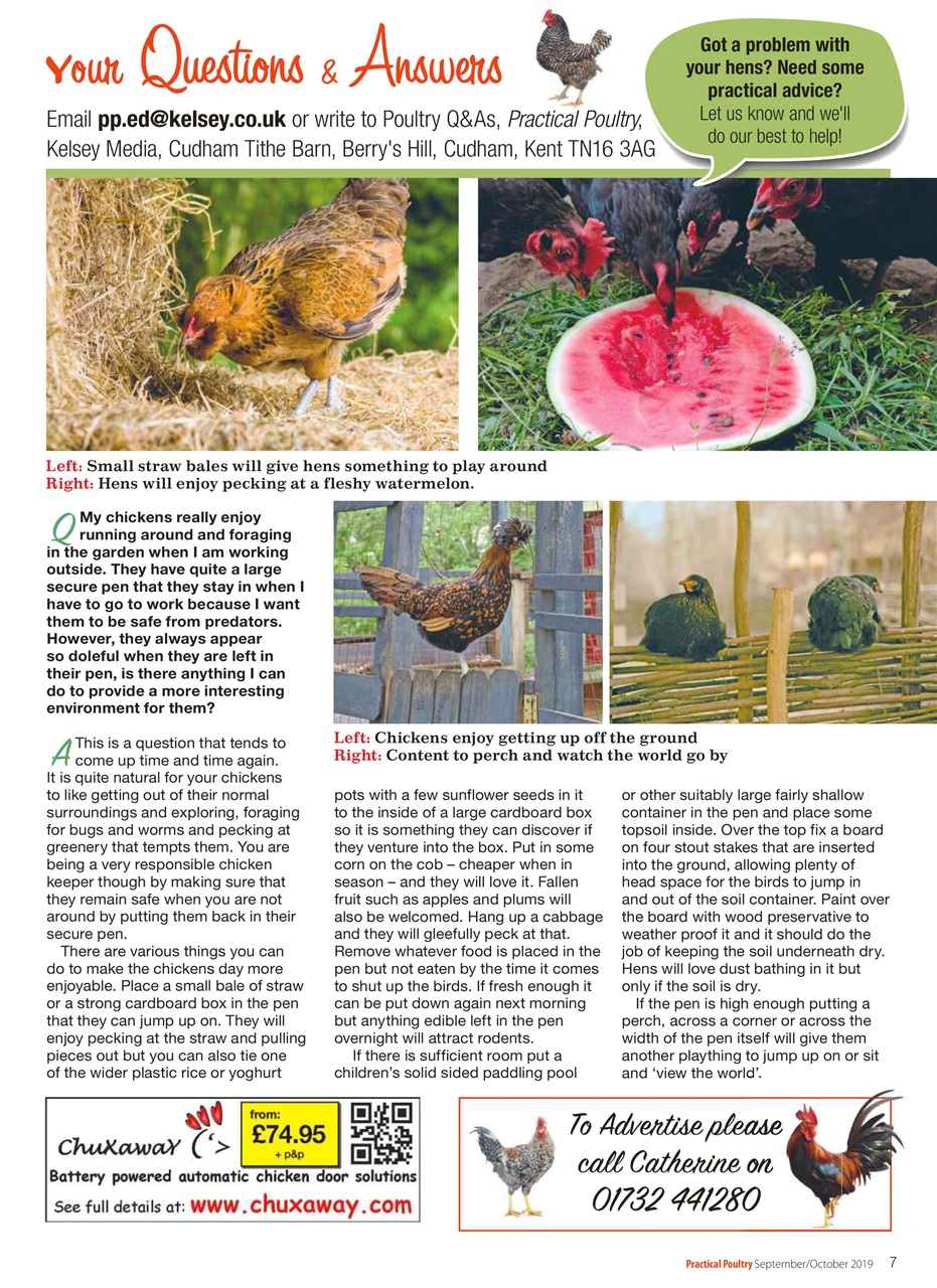 Practical Poultry Preview Pages