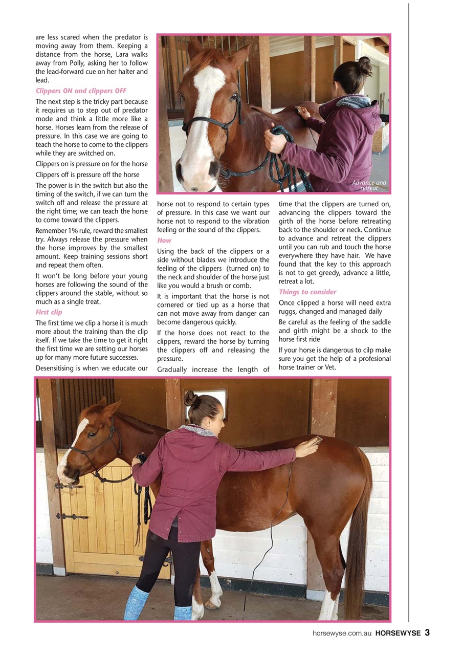 HorseWyse Magazine Preview Pages