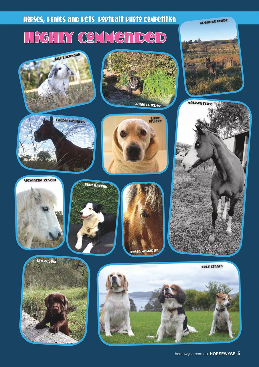 HorseWyse Magazine Preview Pages