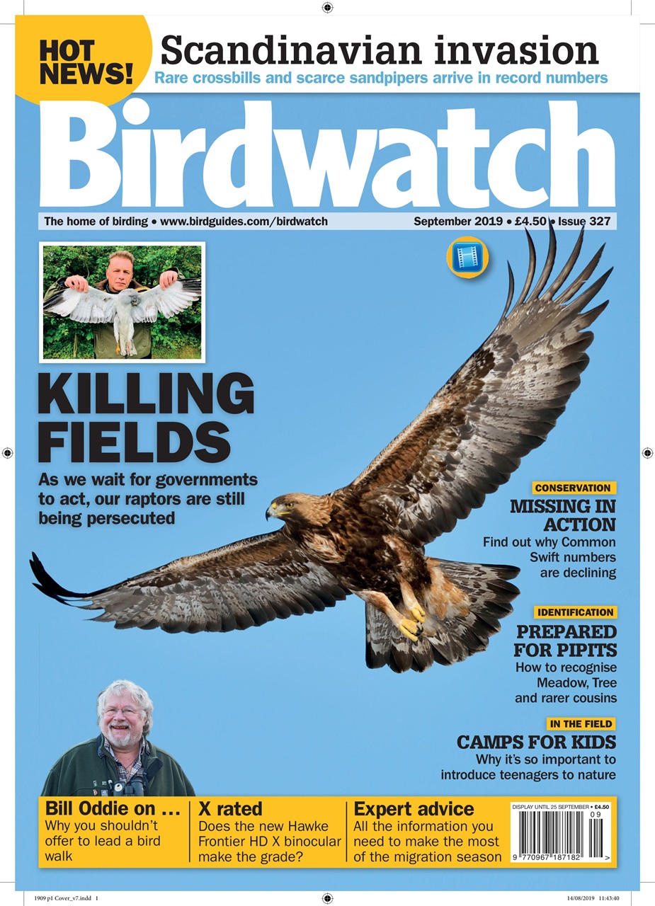 Birdwatch Magazine Preview Pages