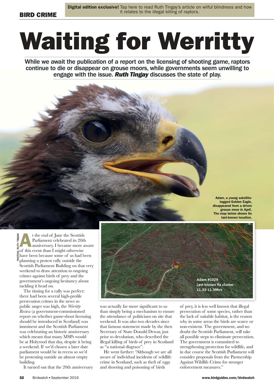 Birdwatch Magazine Preview Pages