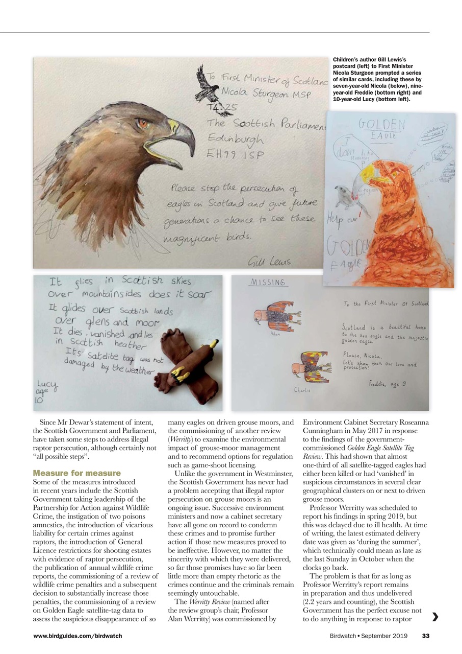 Birdwatch Magazine Preview Pages