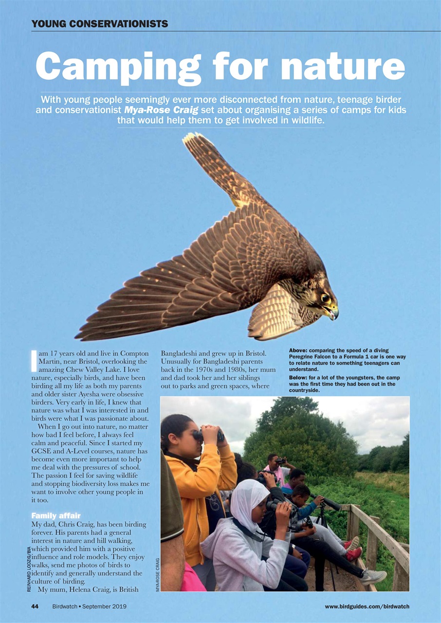 Birdwatch Magazine Preview Pages