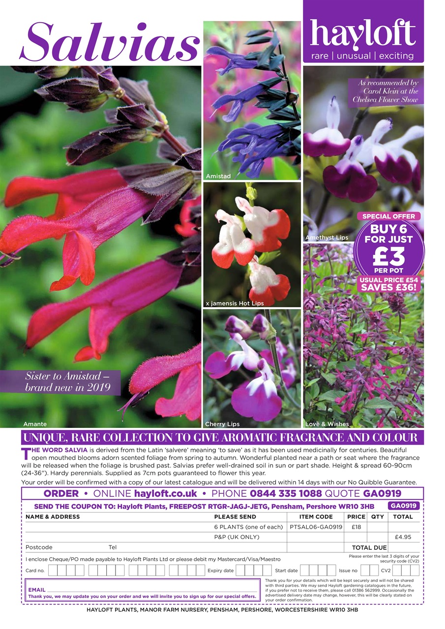 Garden Answers Preview Pages