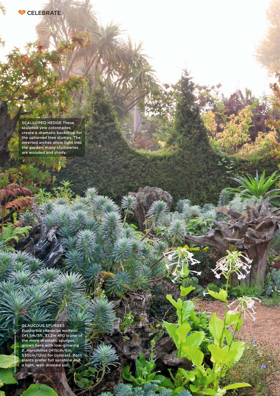 Garden Answers Preview Pages