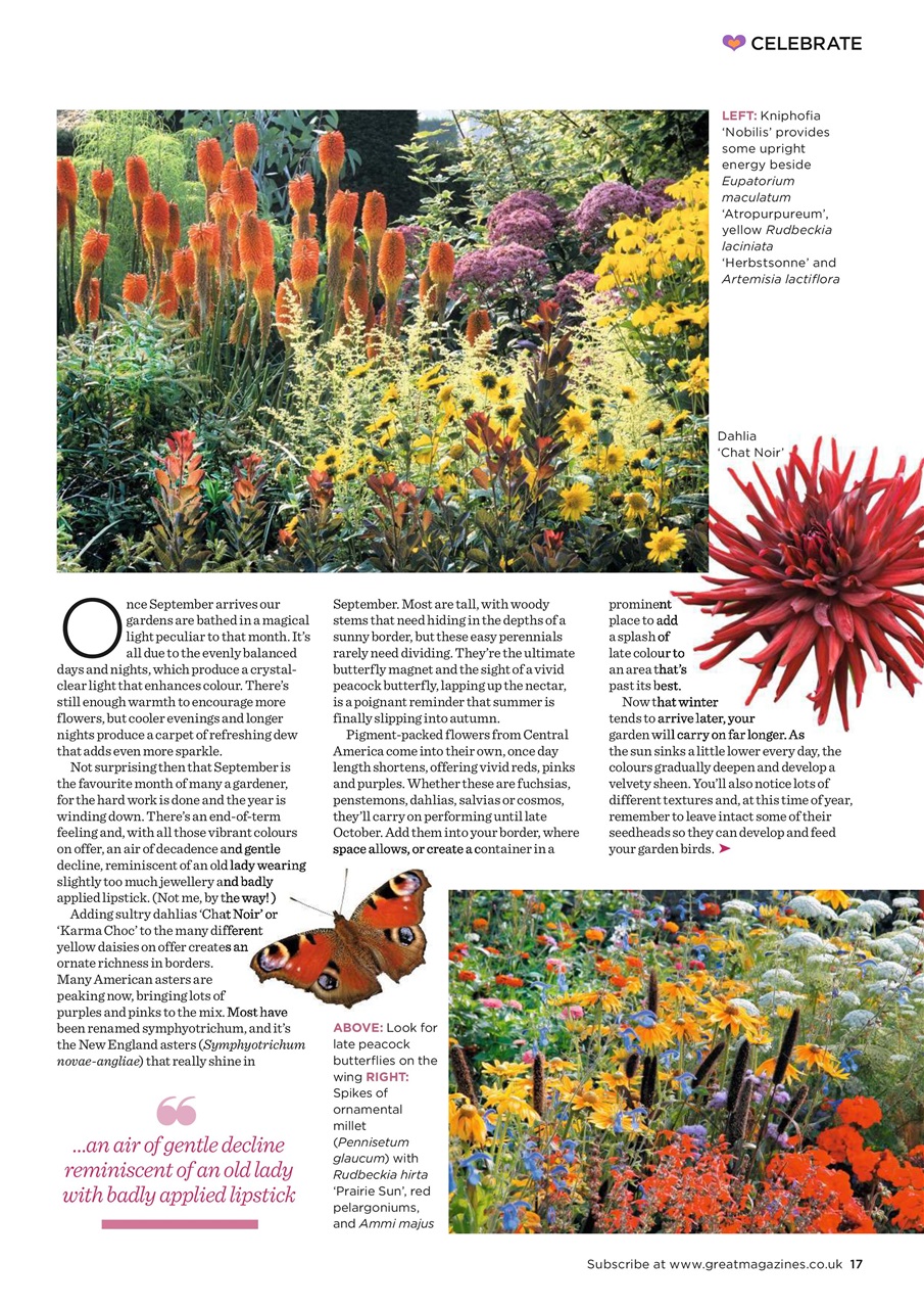 Garden Answers Preview Pages