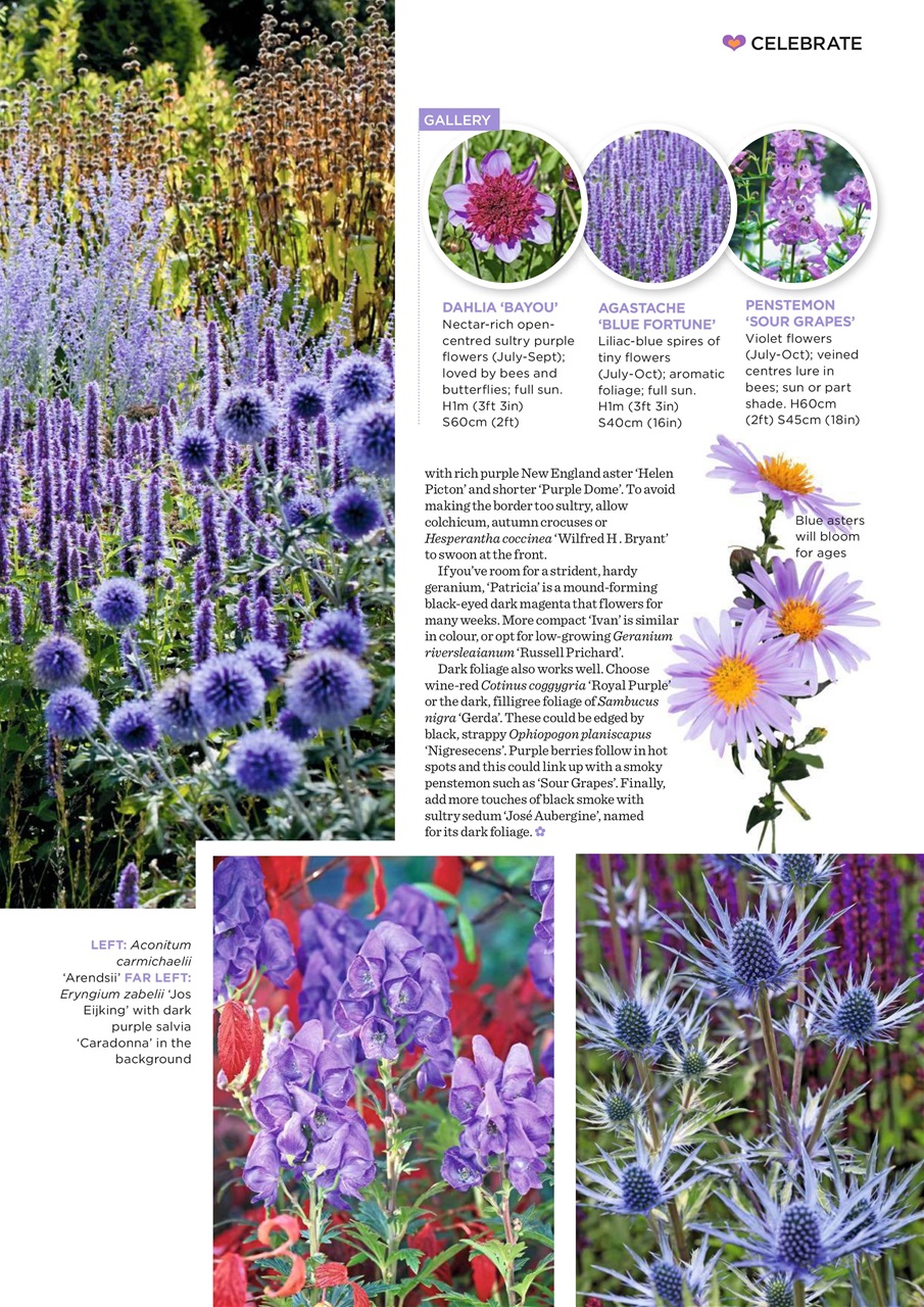 Garden Answers Preview Pages