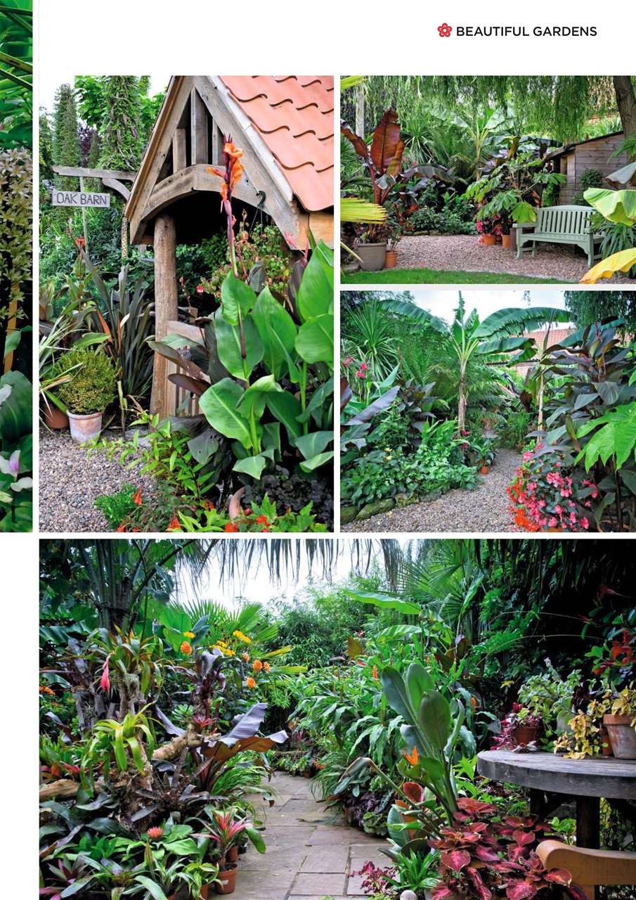 Garden Answers Preview Pages