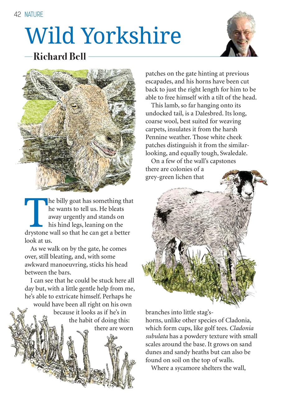 The Yorkshire Dalesman Preview Pages