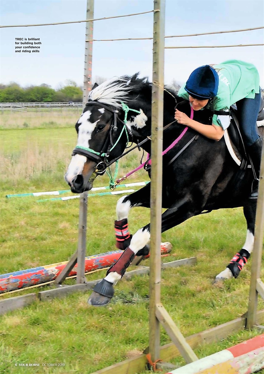 Your Horse Preview Pages