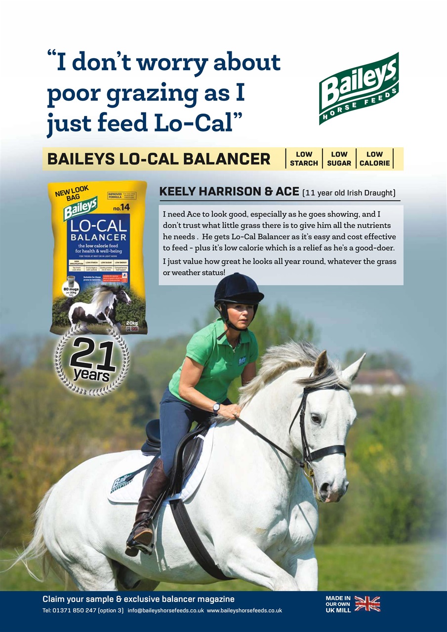 Your Horse Preview Pages