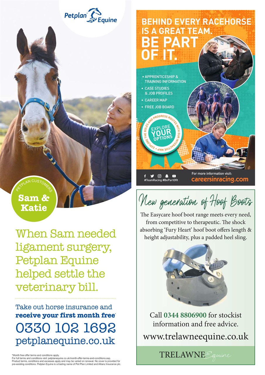 Your Horse Preview Pages