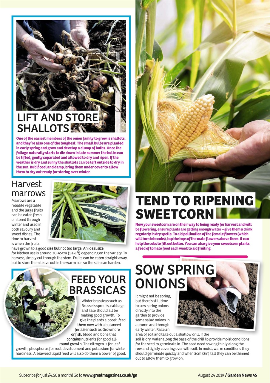 Garden News Preview Pages