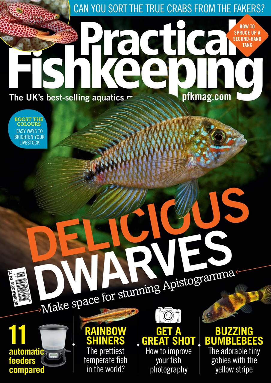 Practical Fishkeeping Preview Pages