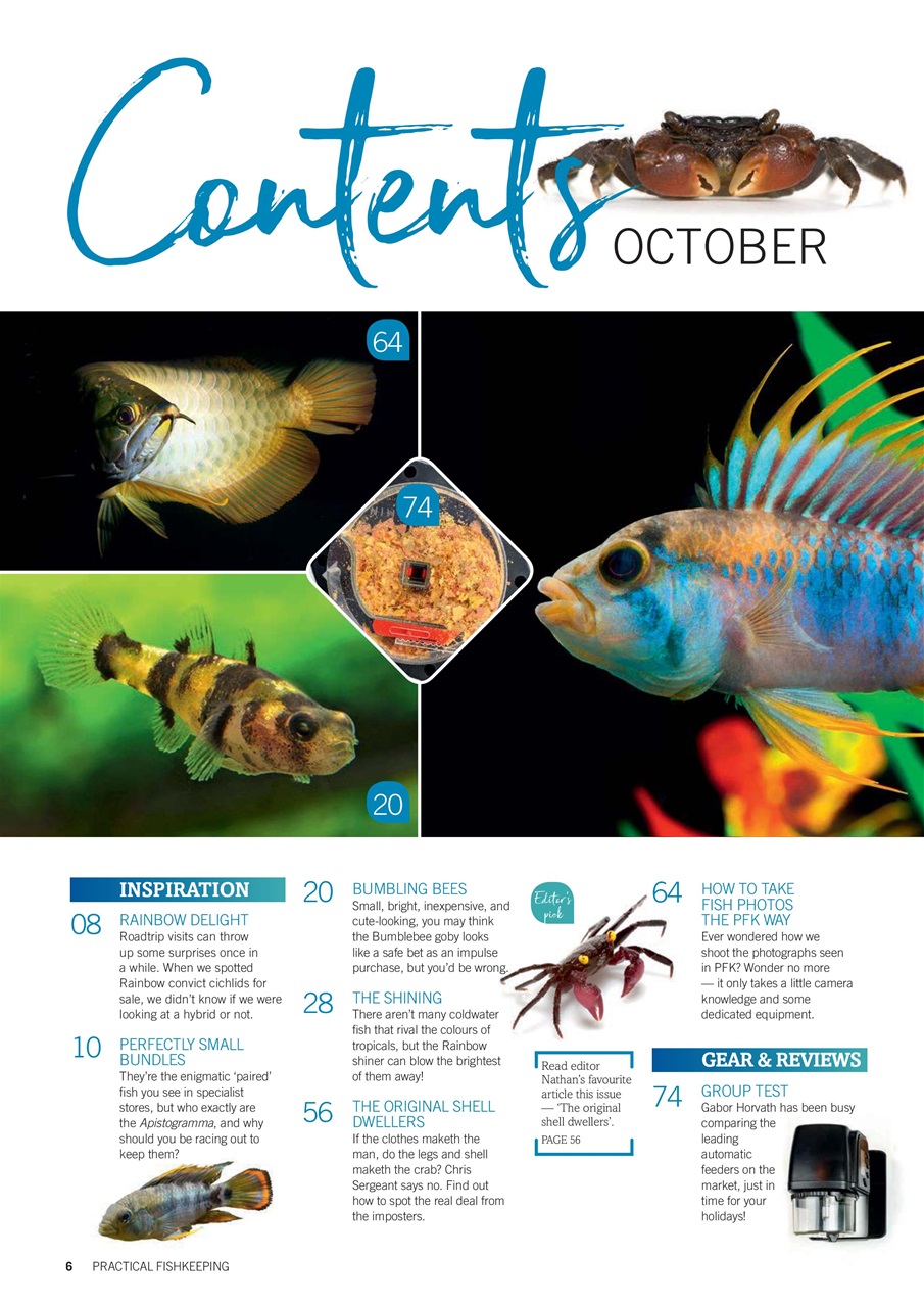 Practical Fishkeeping Preview Pages