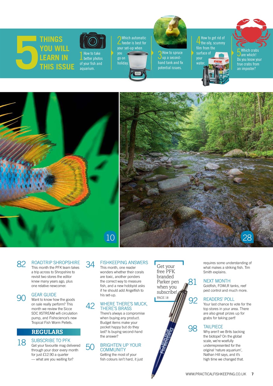Practical Fishkeeping Preview Pages