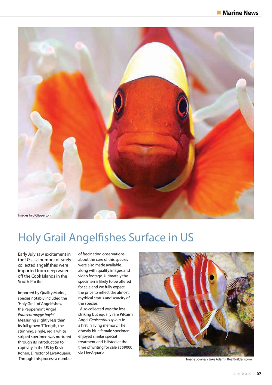 UltraMarine Magazine Preview Pages