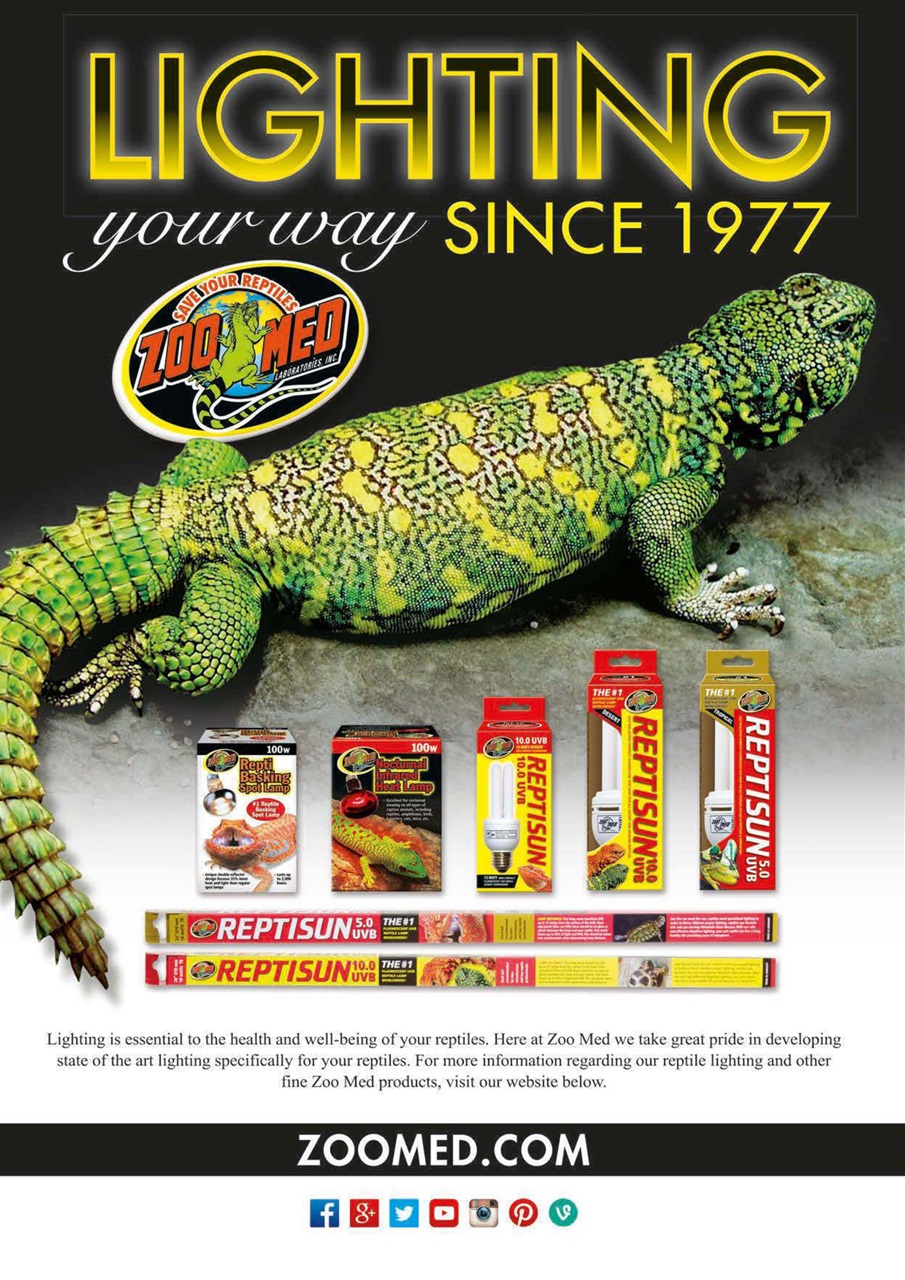 Ultimate Exotics Preview Pages