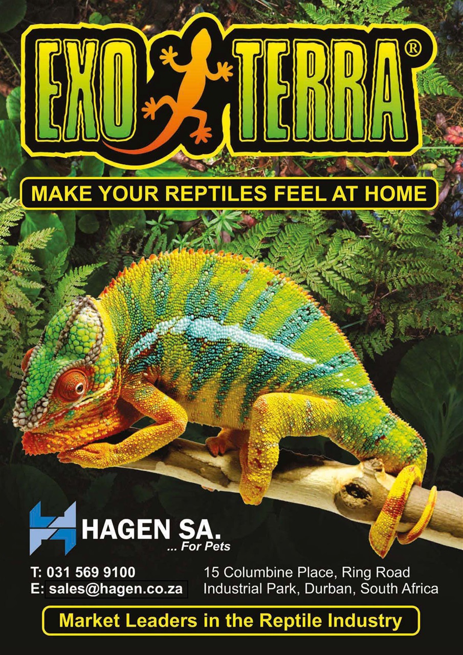 Ultimate Exotics Preview Pages