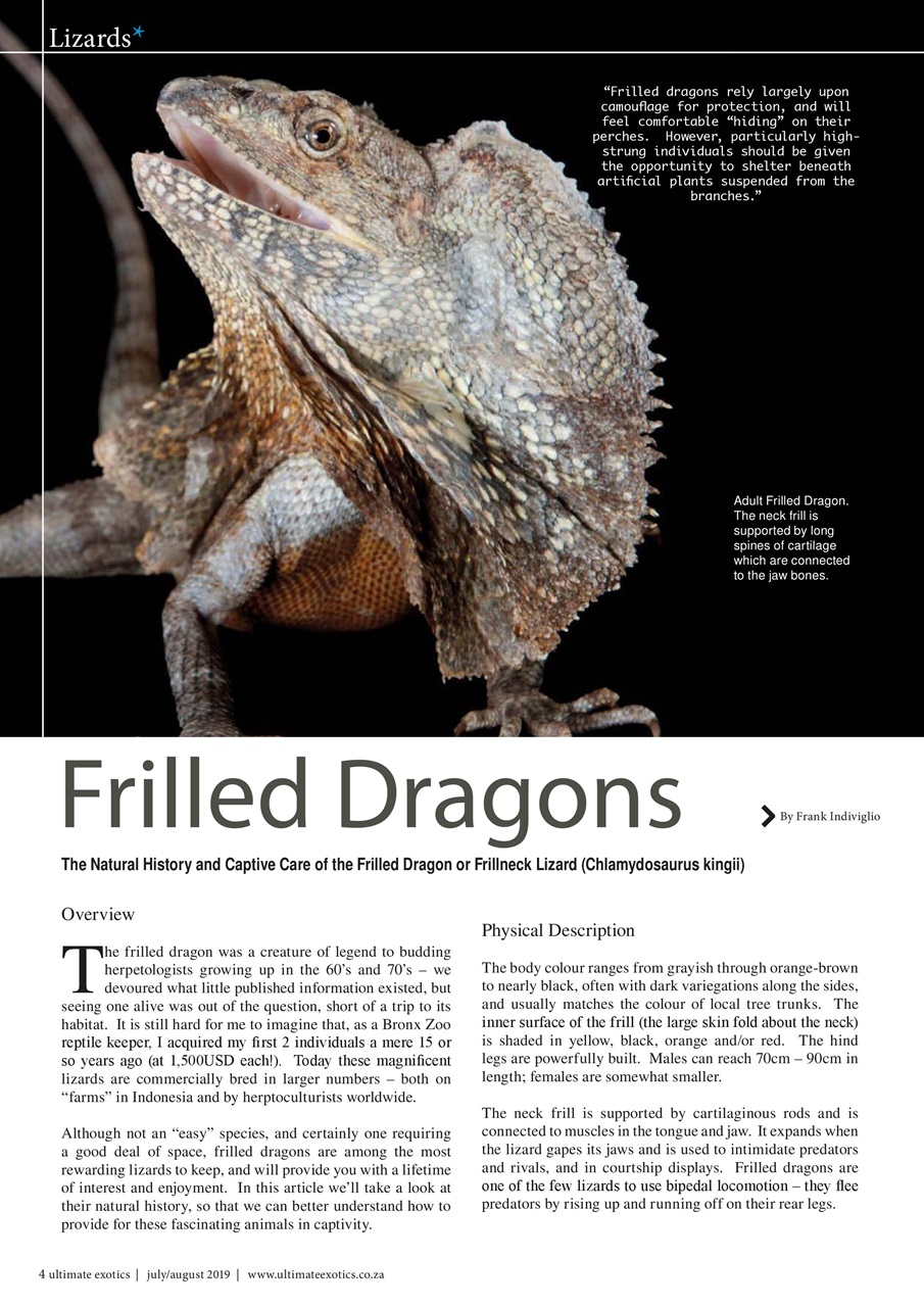 Ultimate Exotics Preview Pages