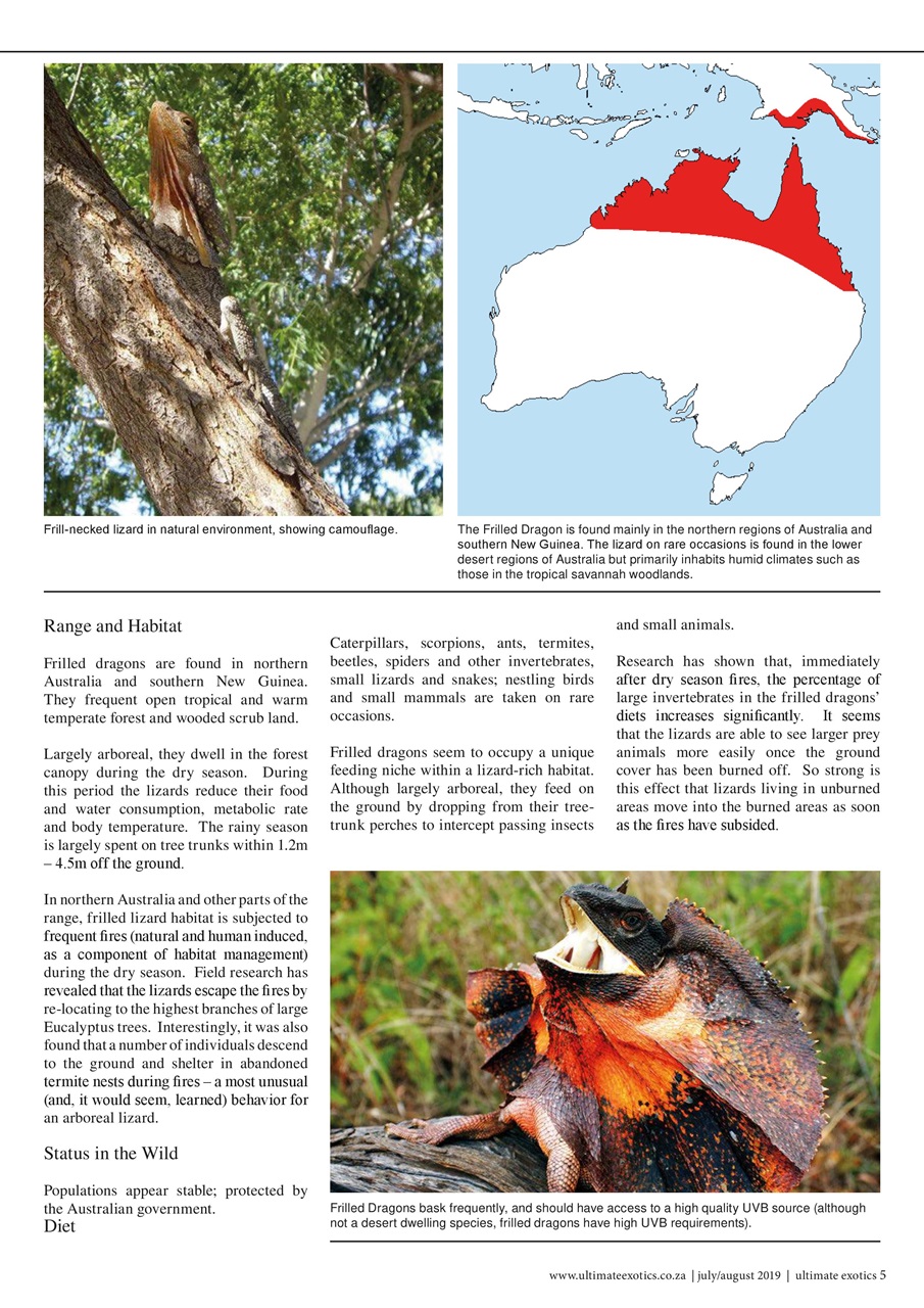 Ultimate Exotics Preview Pages