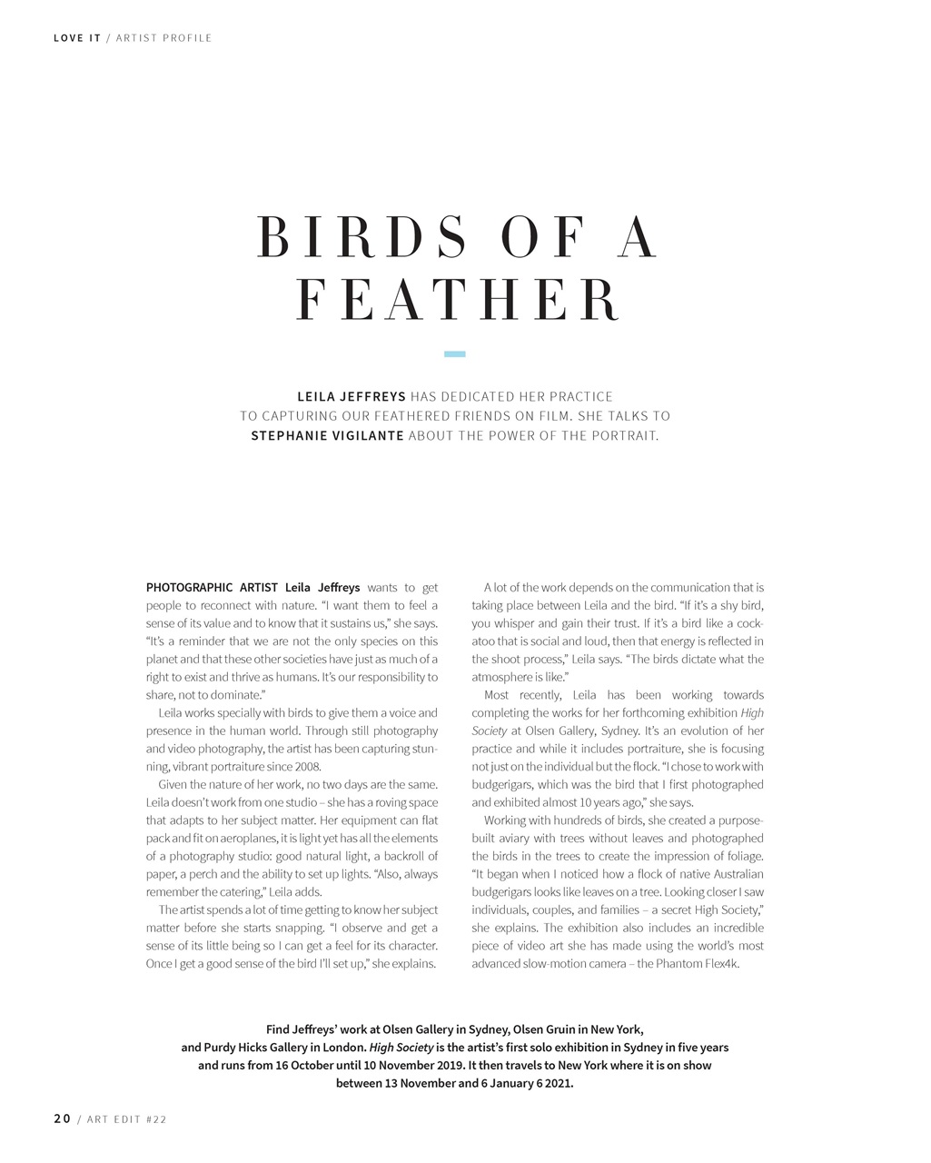 Art Edit Preview Pages