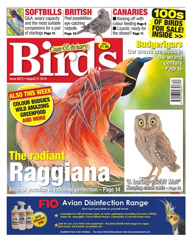 Cage & Aviary Birds issue 21/08/2019