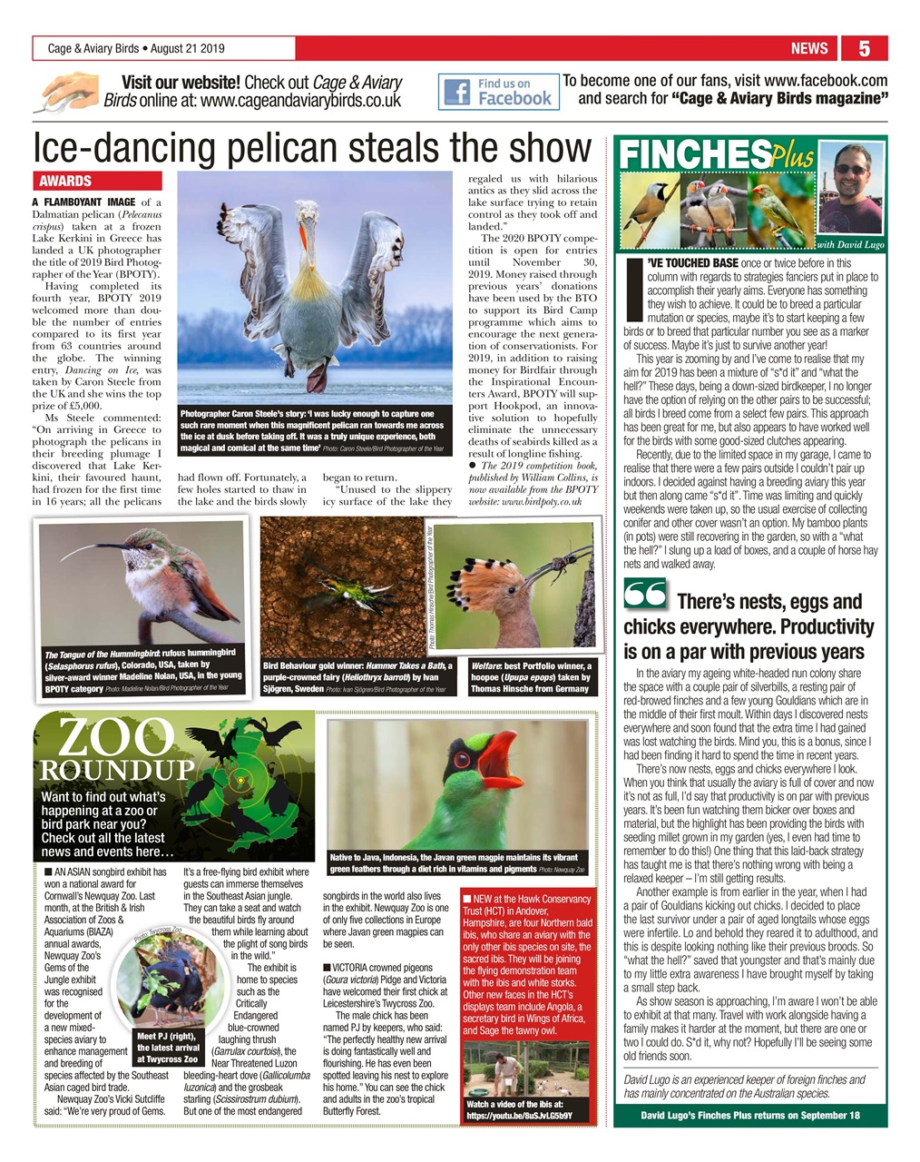 Cage & Aviary Birds Preview Pages