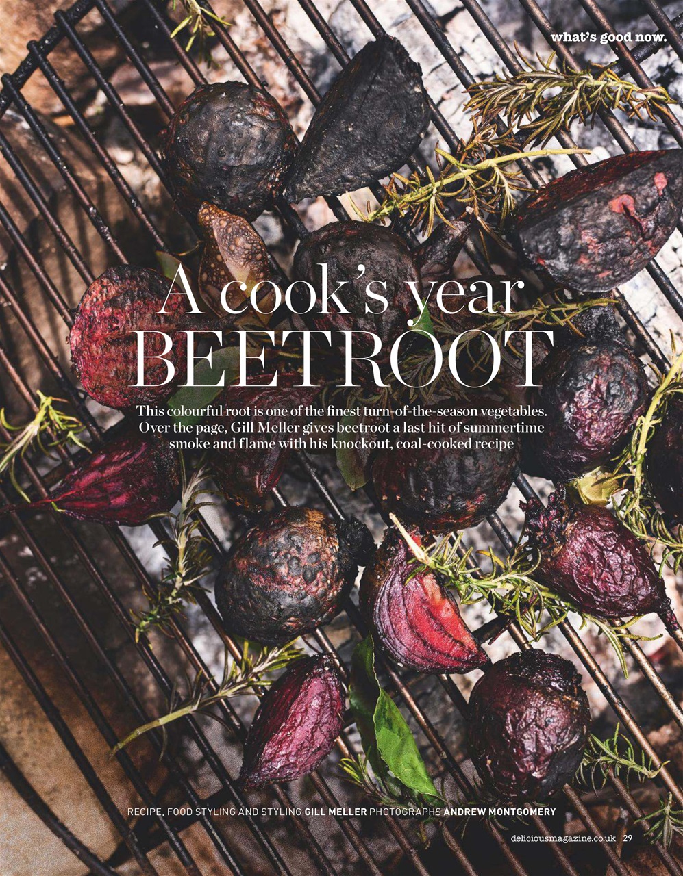 delicious. Magazine Preview Pages