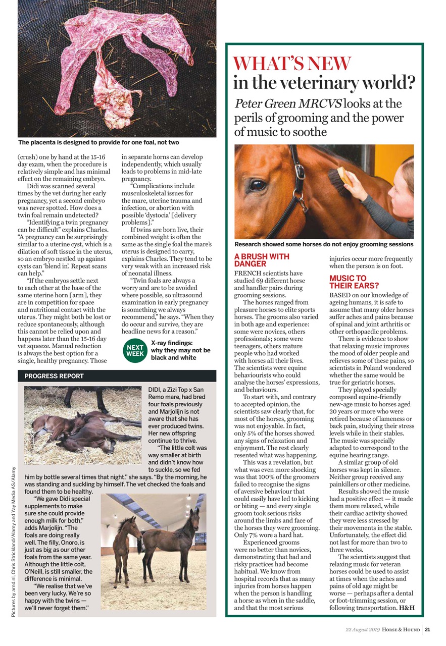 Horse & Hound Preview Pages