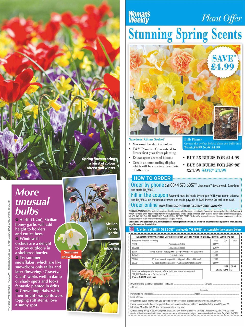 Woman's Weekly Preview Pages