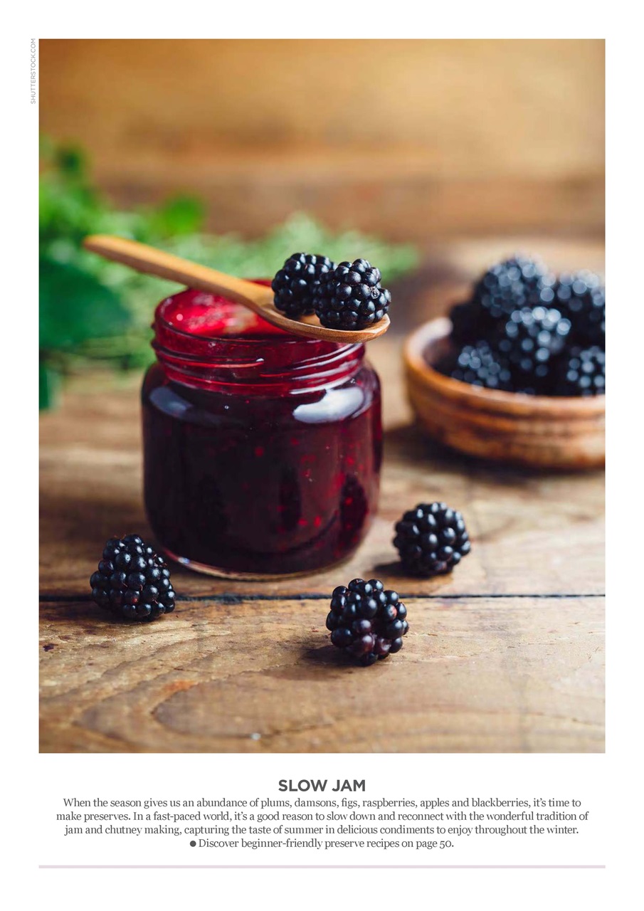 Vegetarian Living Preview Pages