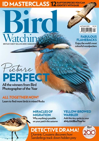 Bird Watching issue Autumn 2019