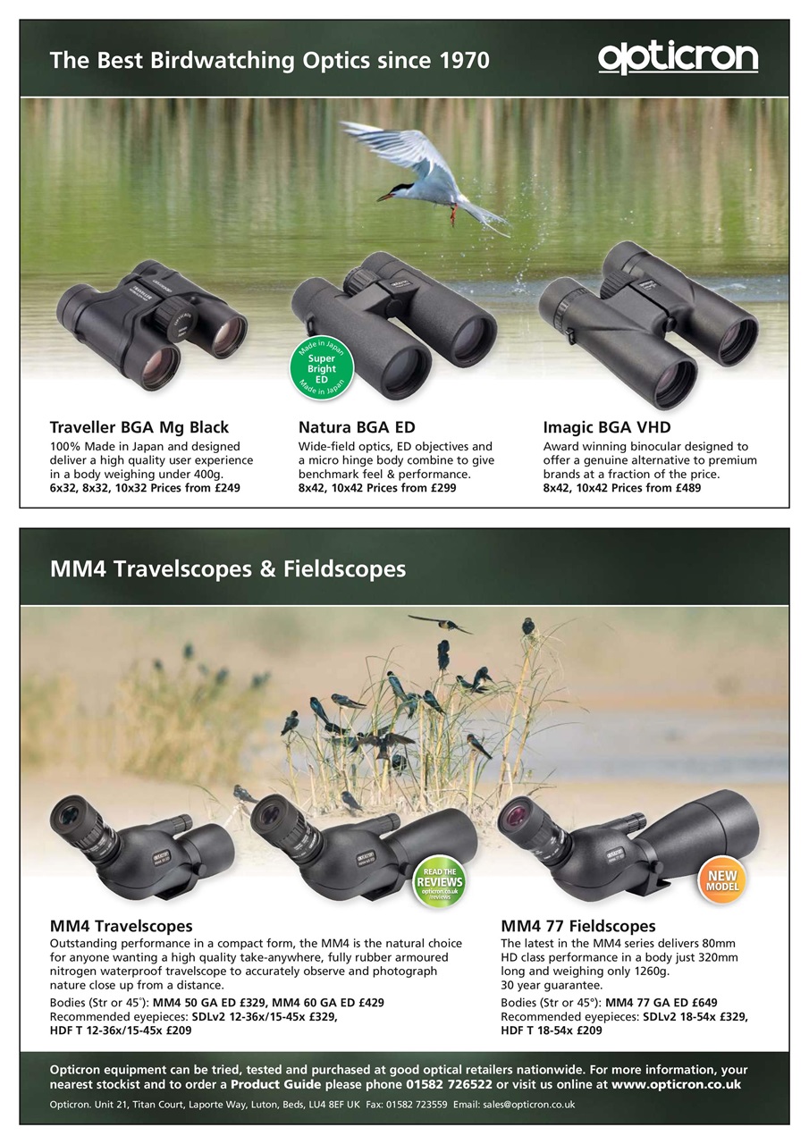 Bird Watching Preview Pages