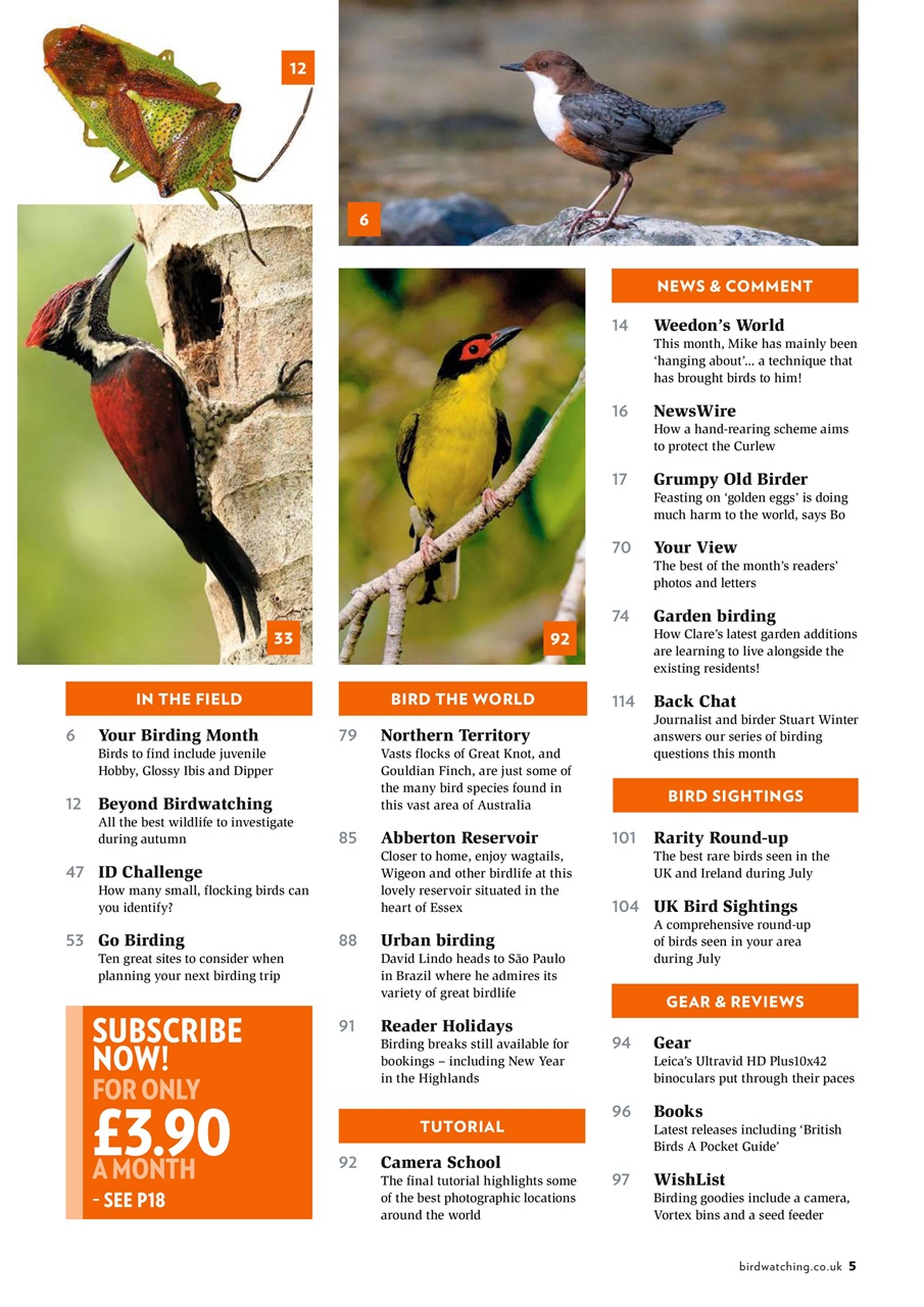 Bird Watching Preview Pages