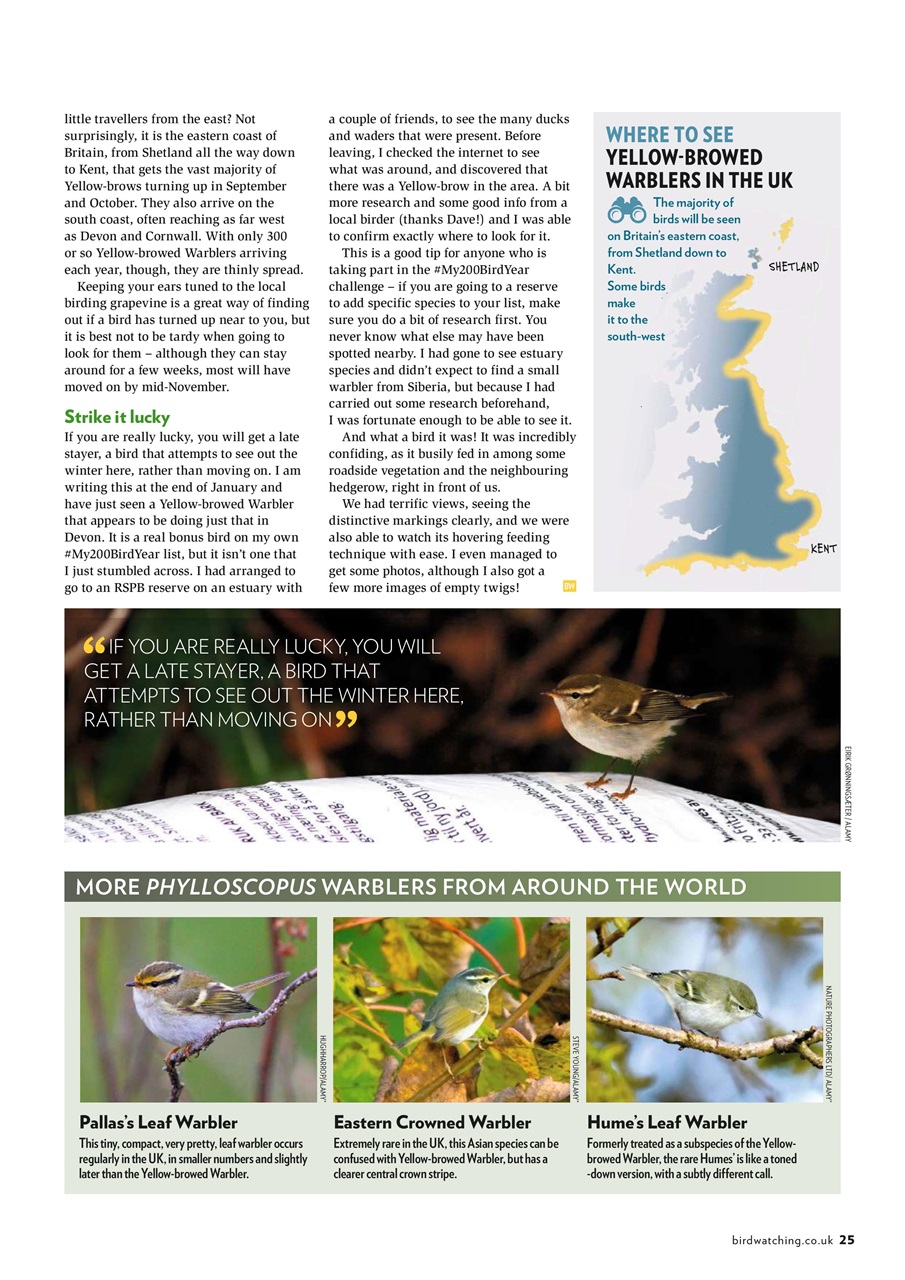 Bird Watching Preview Pages