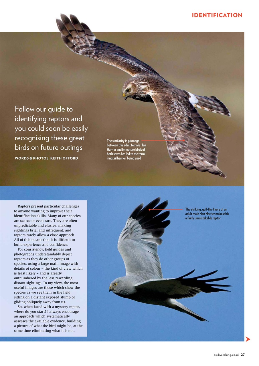 Bird Watching Preview Pages