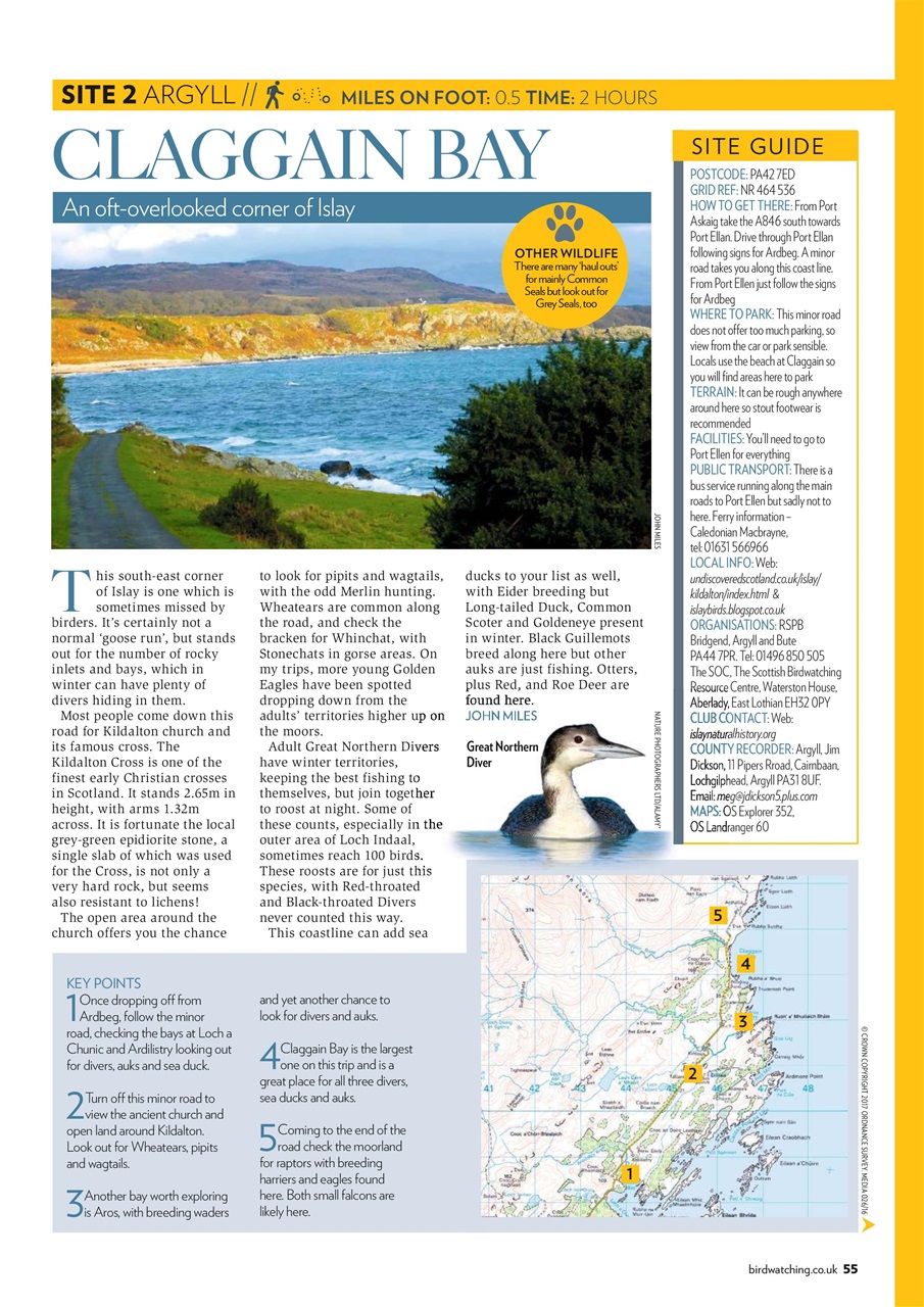 Bird Watching Preview Pages