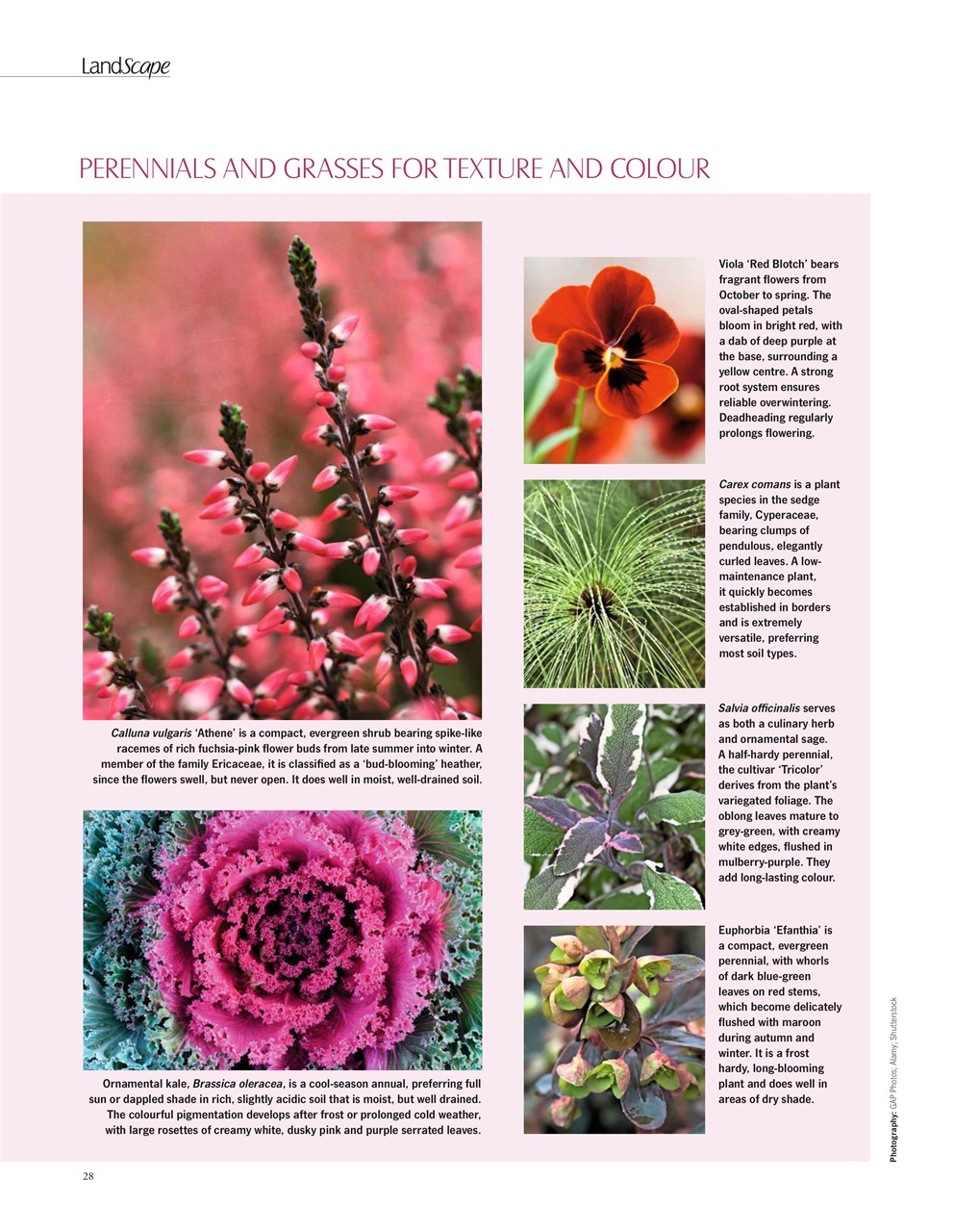 LandScape Preview Pages