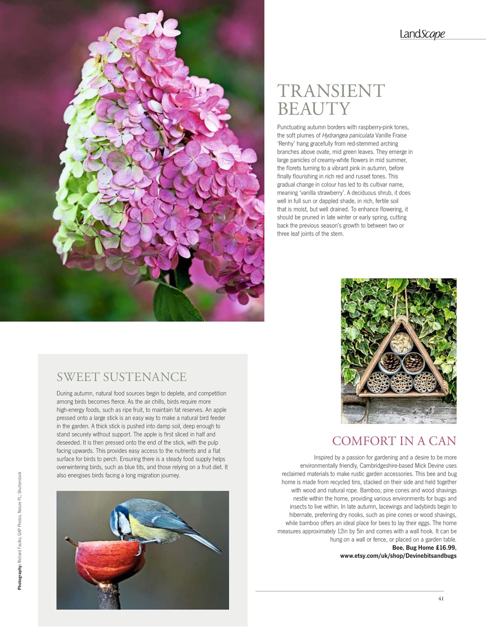 LandScape Preview Pages