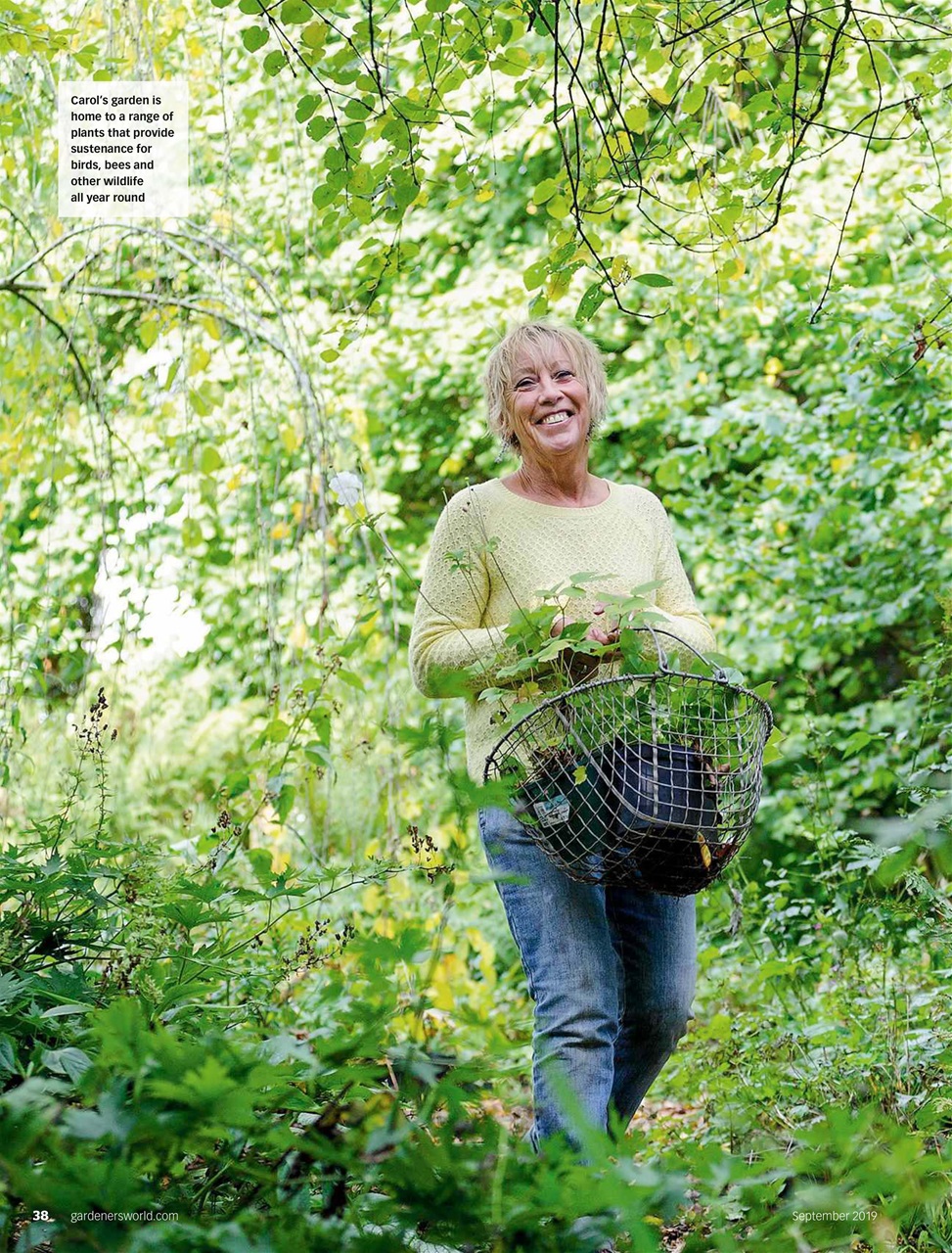 BBC Gardeners’ World Magazine Preview Pages